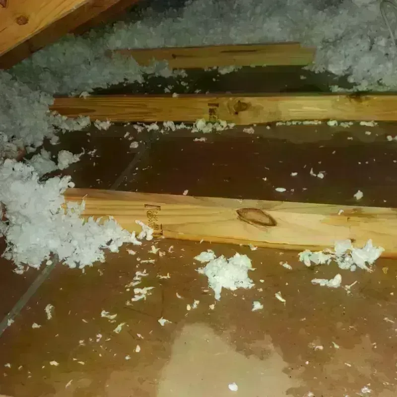 Attic Water Damage in Buncombe County, NC