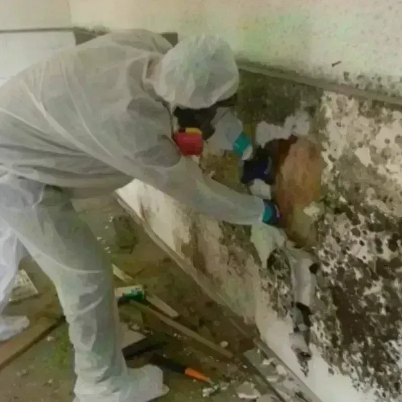 Mold Remediation and Removal in Buncombe County, NC