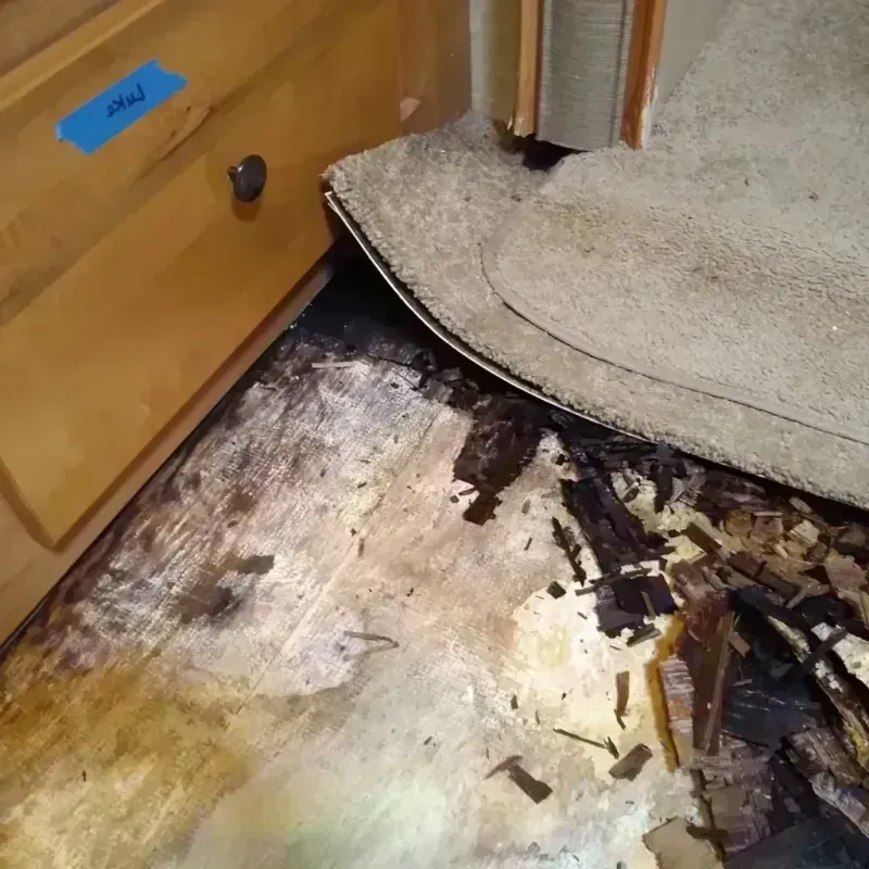 Best Wood Floor Water Damage Service in Buncombe County, NC